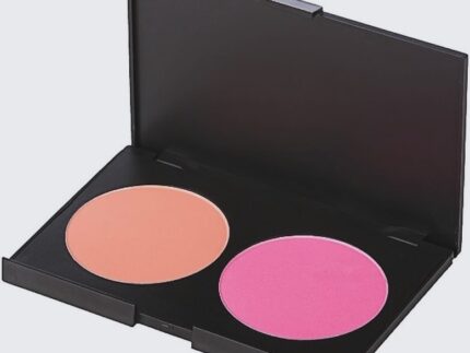 ELLITE Styles 2 color Blush Palette